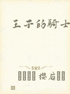 王子的骑士
