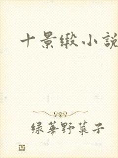 十景缎小说
