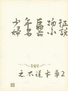 少年巨物征服美妇名器小说封面