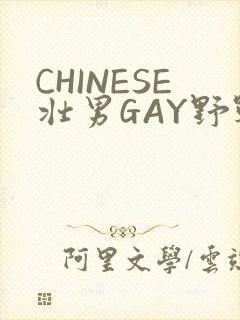 CHINESE壮男GAY野战强迫TUBE封面