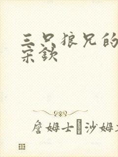 三只狼兄的宠妻宋钦