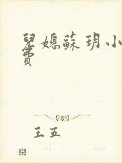 儿媳苏玥小说免费