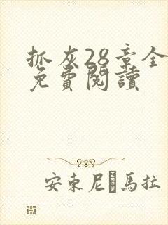 抓灰28章全部免费阅读