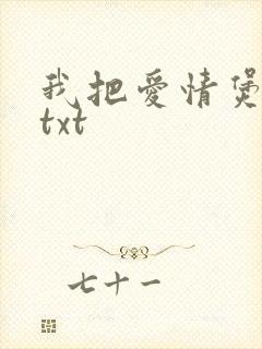 我把爱情煲成汤txt