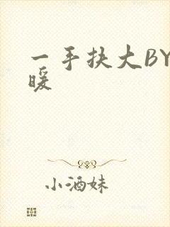 一手扶大BY泱暖封面