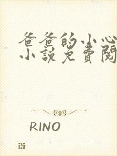 爸爸的小心肝儿小说免费阅读