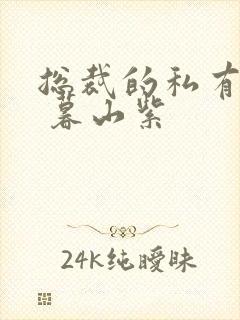 总裁的私有宝贝 暮山紫