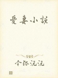 爱妻小说