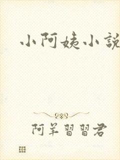 小阿姨小说封面