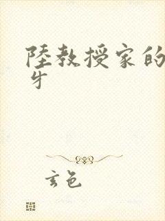 陆教授家的小月牙封面