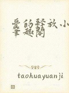 爱的释放小说 笔趣阁