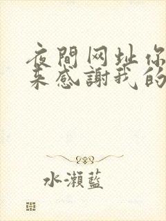 夜间网址你会回来感谢我的