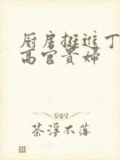 厨房挺进丁字裤高官贵妇