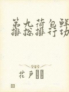 第九荷包鲜辣肉排总排行功能介绍封面