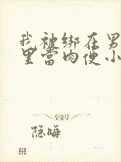 我被绑在男公厕里当肉便小说