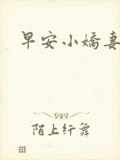 早安小娇妻封面