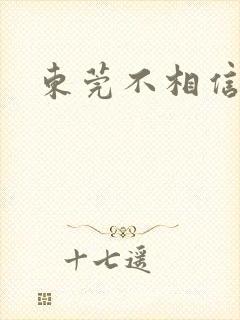 东莞不相信眼泪