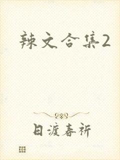 辣文合集2封面