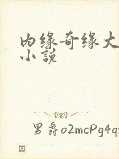 内缘奇缘大团圆小说封面