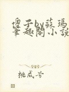 傻子by苏玛丽笔趣阁小说封面