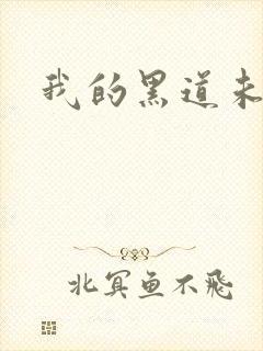 我的黑道未婚夫