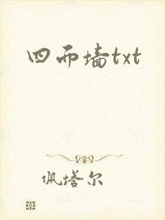 四面墙txt封面