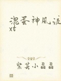 混蛋神风流史txt封面