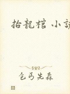 抬龙棺 小说封面