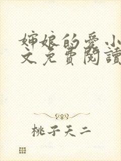 婶娘的爱小说全文免费阅读