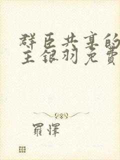 群臣共享的小公主银羽免费阅读封面