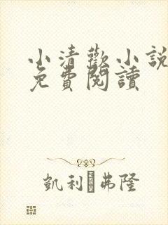 小清欢小说全文免费阅读封面