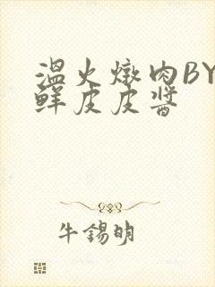 温火炖肉BY海鲜皮皮酱