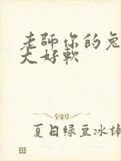 老师你的兔子好大好软