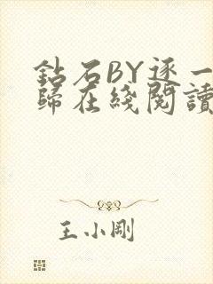 钻石BY逐一而归在线阅读