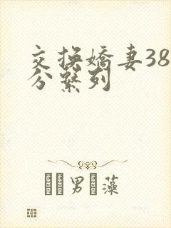交换娇妻38部分系列封面