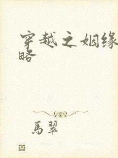 穿越之姻缘劫攻略