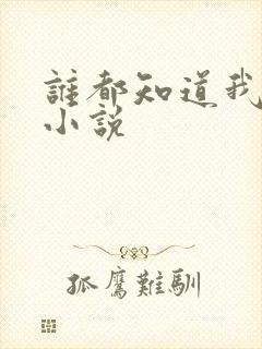 谁都知道我爱你小说