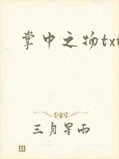 掌中之物txt封面