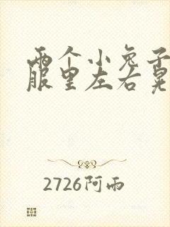 两个小兔子在衣服里左右晃