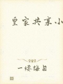 皇家共享小公主封面