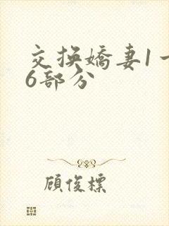 交换娇妻1一36部分