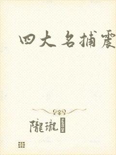 四大名捕震关东