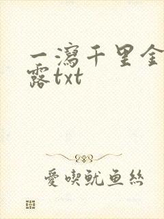 一泻千里金银花露txt