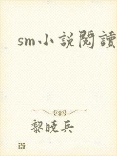 sm小说阅读封面