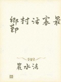 乡村活寡最新章节