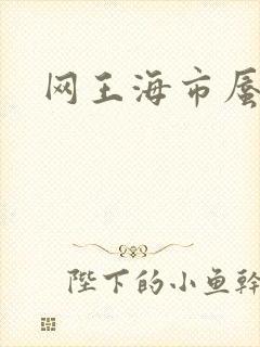 网王海市蜃楼