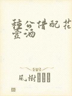 种公借配花间一壶酒