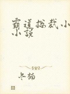 霸道总裁小娇妻小说