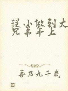 从小做到大骨科兄弟年上封面