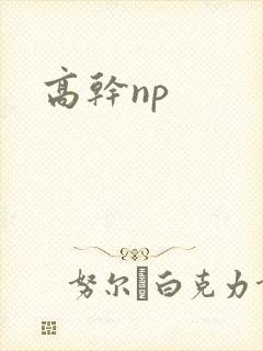 高干np